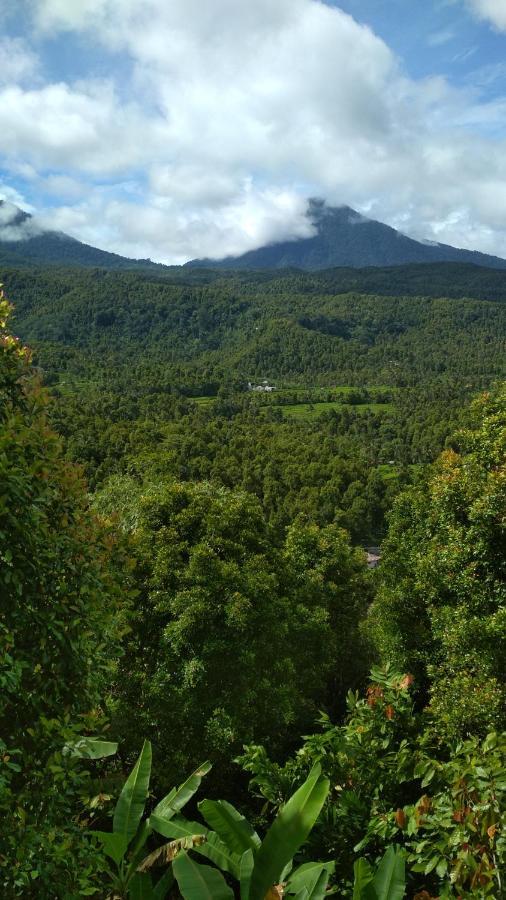 Made Homestay Munduk エクステリア 写真