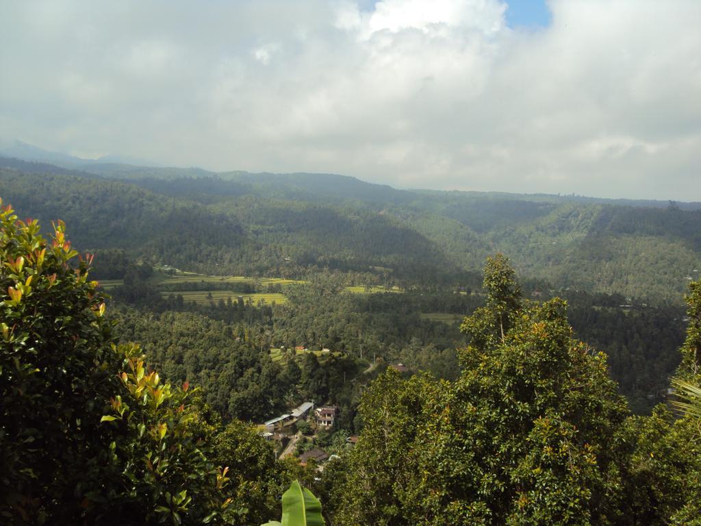 Made Homestay Munduk エクステリア 写真