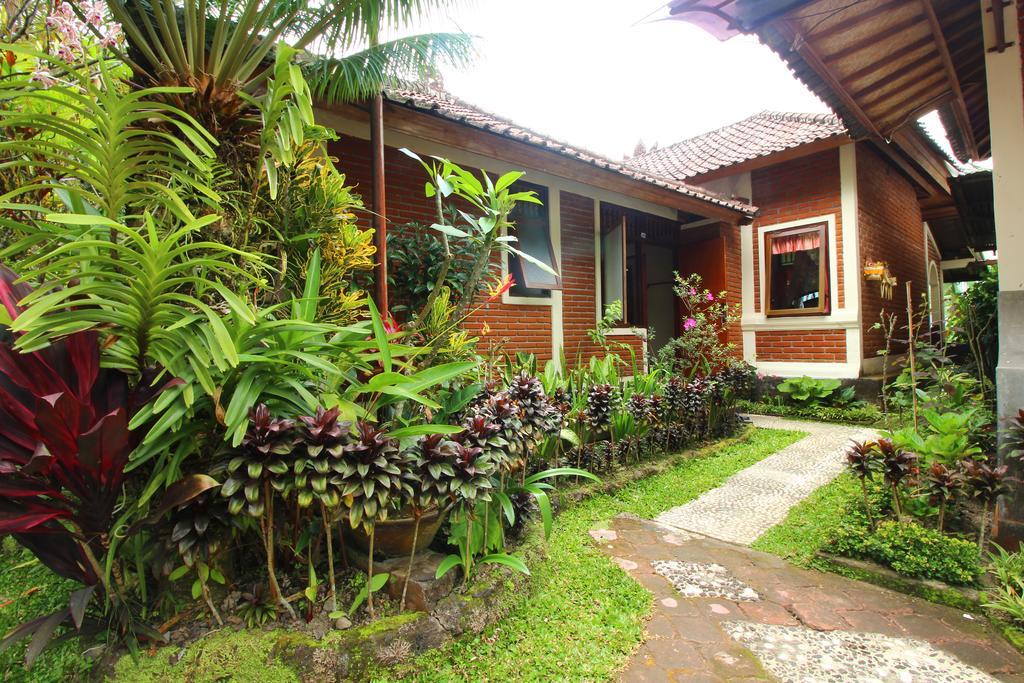 Made Homestay Munduk エクステリア 写真