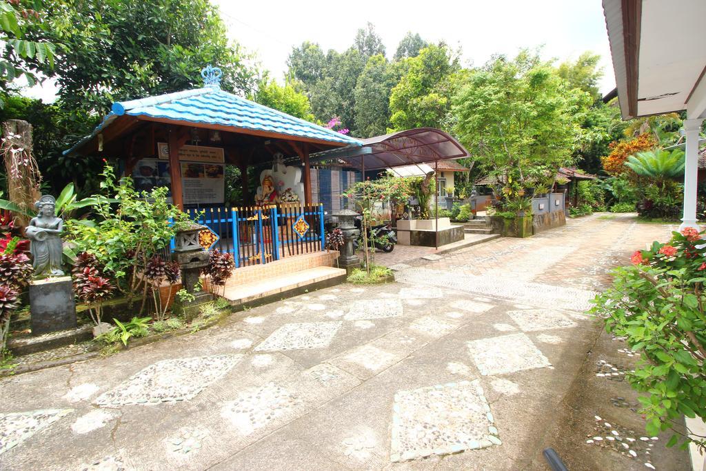 Made Homestay Munduk エクステリア 写真