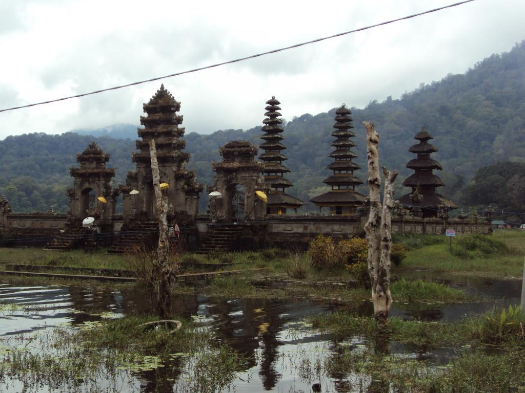Made Homestay Munduk エクステリア 写真