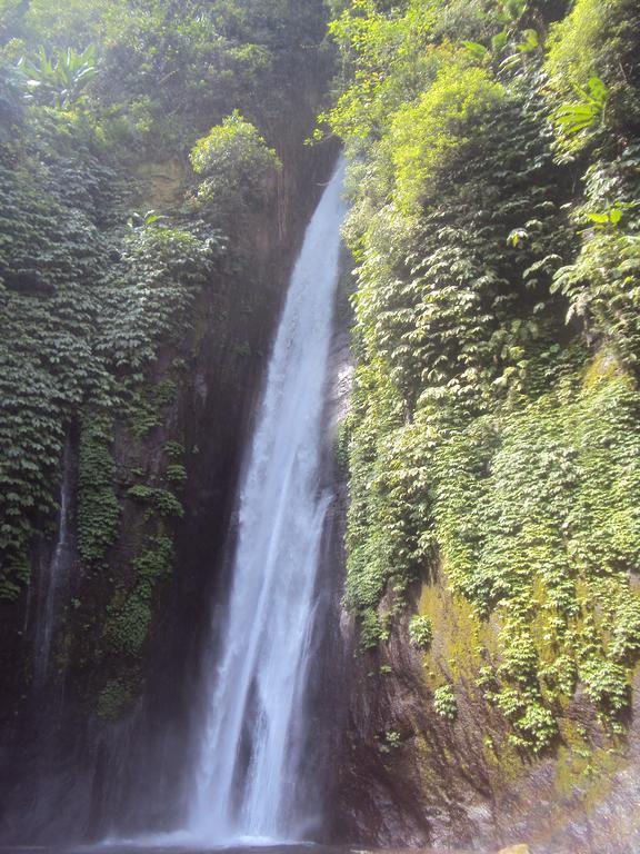 Made Homestay Munduk エクステリア 写真