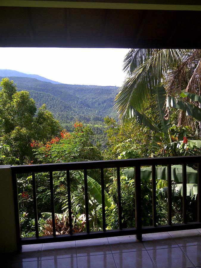 Made Homestay Munduk エクステリア 写真